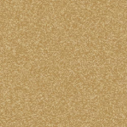 Non Slip Solid Area Rugs for Hallways Black OEKO-TEX STANDARD 100
| Easy to Clean Laundry Rug Runner for Living Room Bl